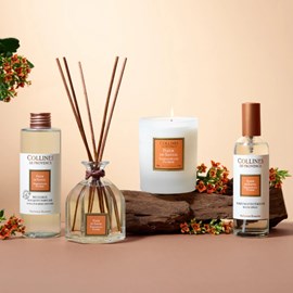 Bougie parfumée fleur de santal