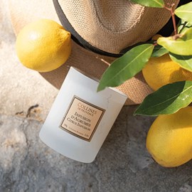 Bougie parfumée infusion d'agrumes