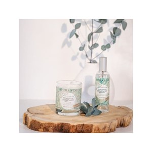 Bougie parfumée eucalyptus purifiant