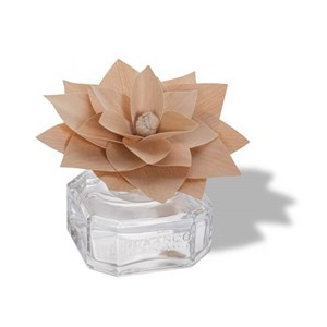 Fleur parfumée camélia blanc