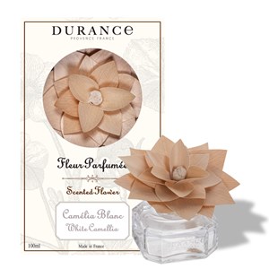 Fleur parfumée camélia blanc