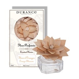 Fleur parfumée fleur d'oranger
