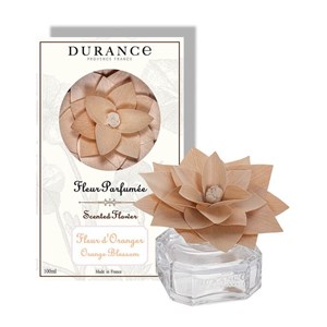 Fleur parfumée fleur d'oranger