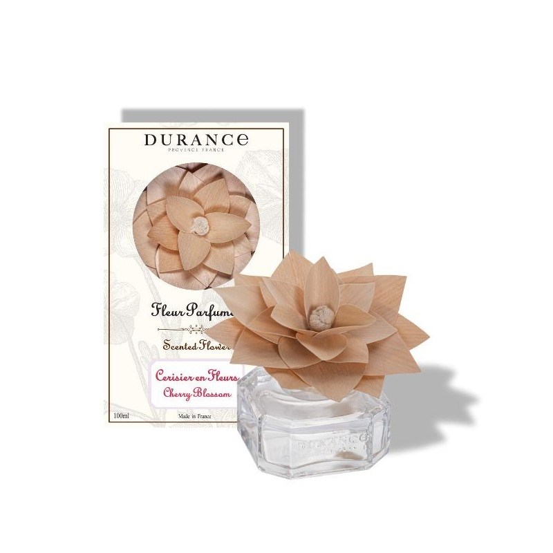 Fleur parfumée cerisier en fleurs