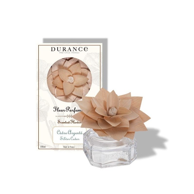 Fleur parfumée cèdre argenté