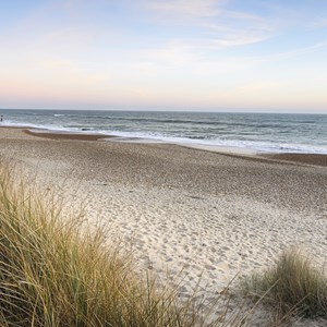 Recharge diffuseur brume marine