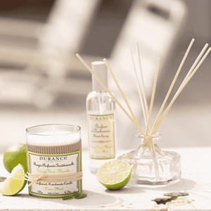 Recharge diffuseur citron vert menthe