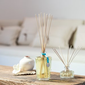 Grande recharge parfum fleur de monoï