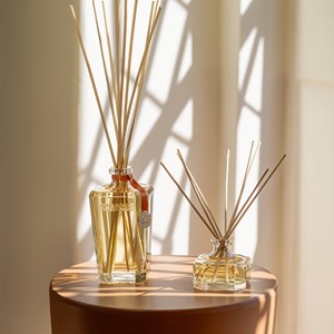 Grande recharge parfum ambre précieux