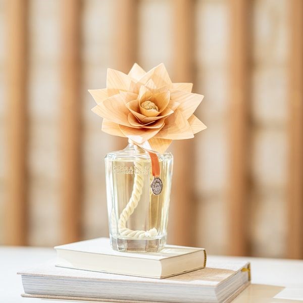Grande fleur parfumée ambre précieux