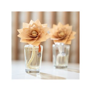 Grande fleur parfumée ambre précieux