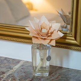 Grande fleur parfumée fleur de coton