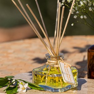 Grande recharge mandarine bergamote