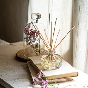 Recharge diffuseur bouton de rose