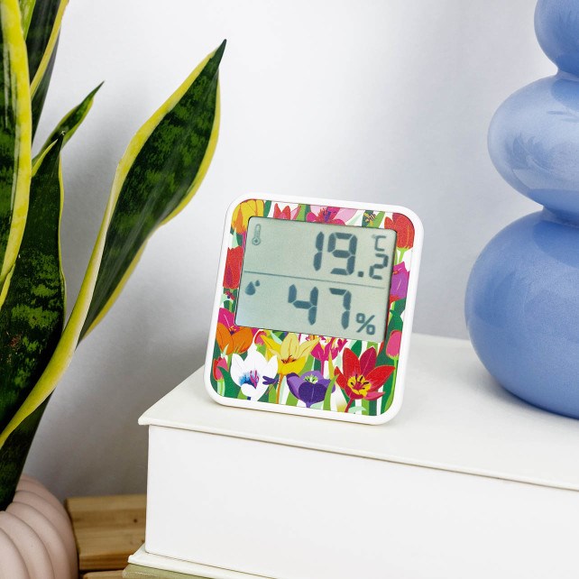 Thermomètre digital