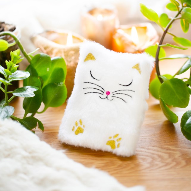 Chaufferette main réutilisable