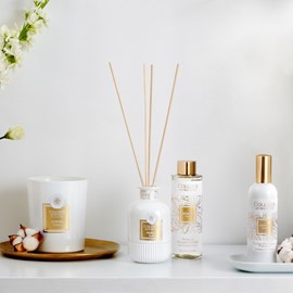 Recharge bouquet parfumé néroli