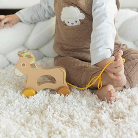 Jouet en bois bébé à tirer multicolore