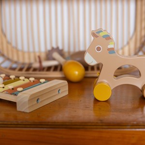 Jouet en bois bébé à tirer multicolore