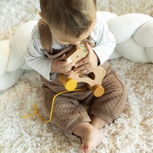Jouet en bois bébé à tirer multicolore