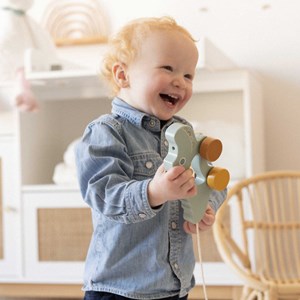 Jouet en bois à tirer vert