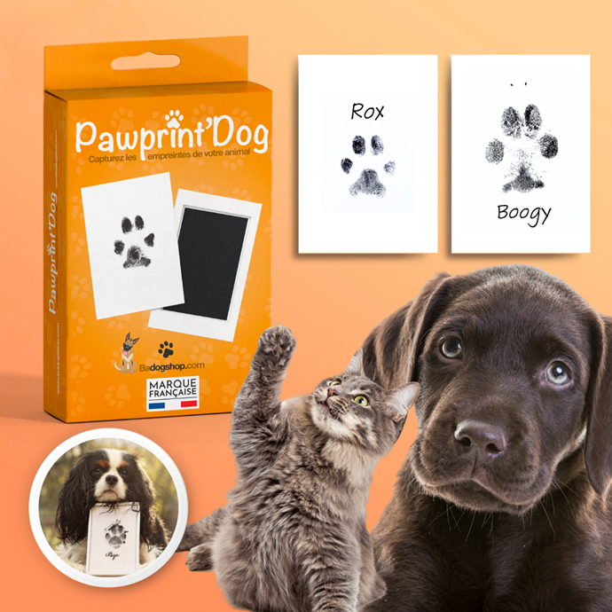 Kit empreinte patte chien & chat cadeau