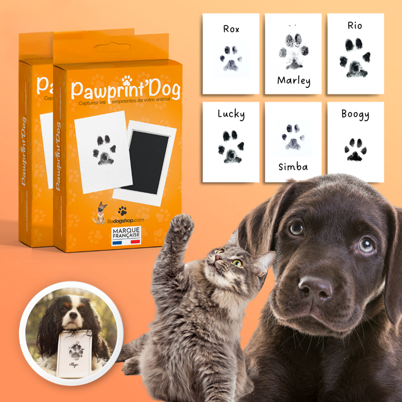 2 kits empreinte patte chien & chat