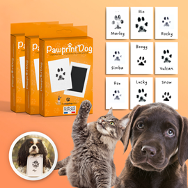 3 kits empreinte patte chien & chat