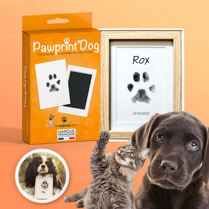 Kit empreintes chien chat + cadre photo