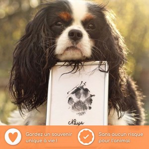Kit empreintes chien chat + cadre photo