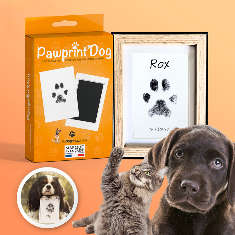 Kit empreintes chat chien + cadre photo