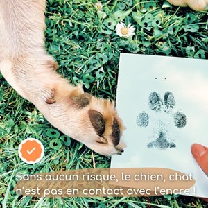 Kit empreintes chat chien + cadre photo