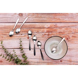 Coffret 6 petites cuillères - silver