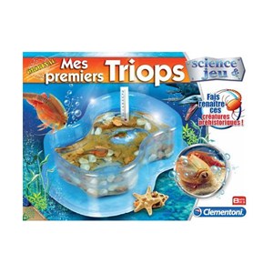 Mes premiers triops
