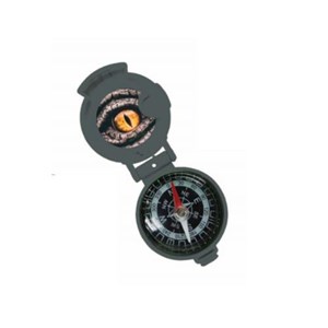 Kit d’aventurier dinosaure