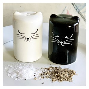 Salière et poivrière