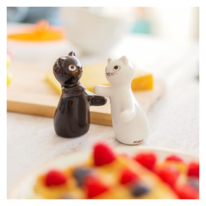 Salière et poivrière