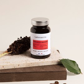 Brûleur de graisse - cure de 1 mois