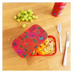Lunch box
