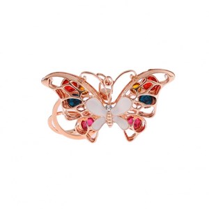 Papillon merveilleux en porte-cles 