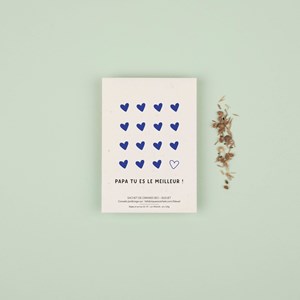 5 sachets à semer pour la fête des pères