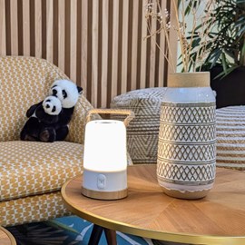 Lampe enceinte nomade rgb bluetooth – lumière et son dynamique