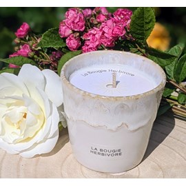 Bougie lys blanc - pot en grès