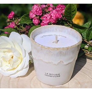 Bougie lys blanc - pot en grès