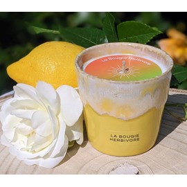 Bougie pastèque melon - pot en grès