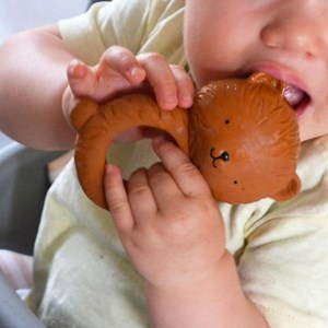 Jouet de dentition ours