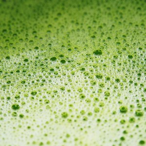 Matcha cérémonie bio 30g