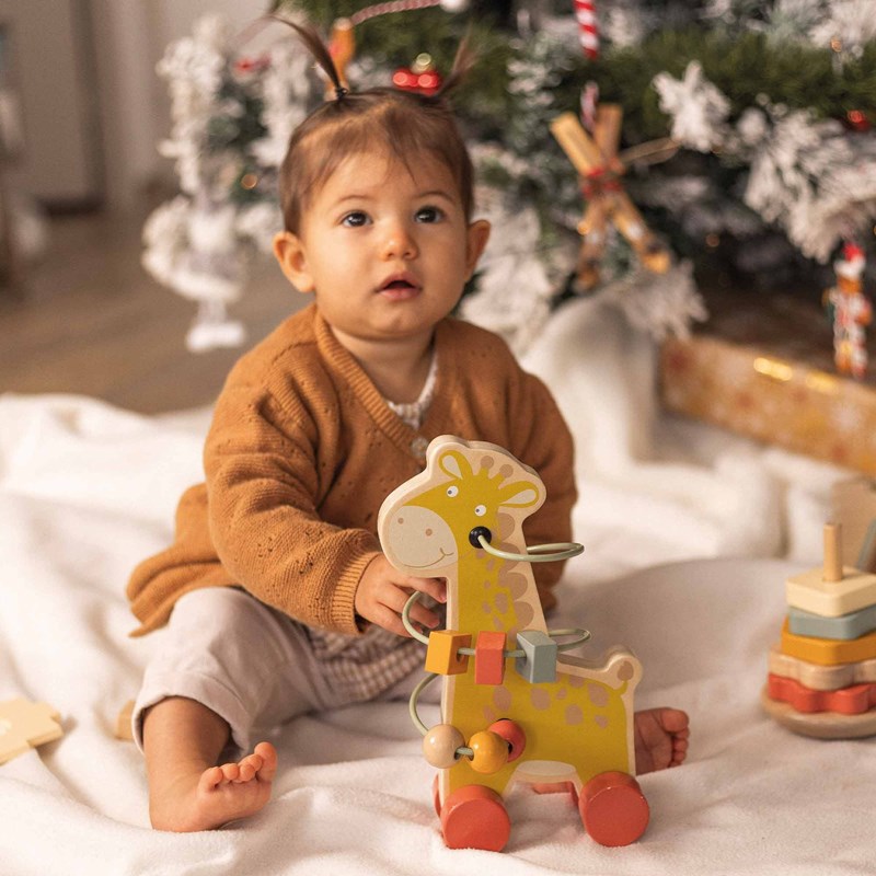 Coffret de 3 jouets d'éveil en bois mult