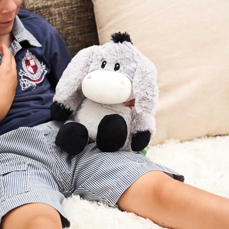 Peluche bouillotte ane