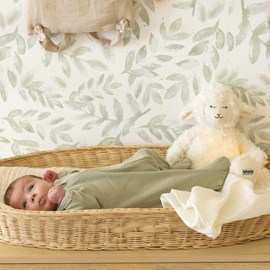 Dors bien ouverture zippée vert 0 mois